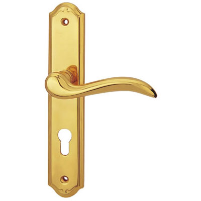 Brass Handle with Plate
